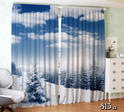 ��������� ������� 813